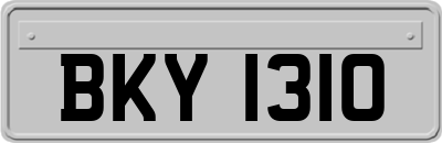 BKY1310