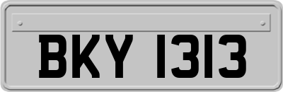 BKY1313