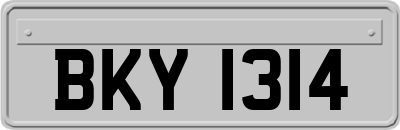 BKY1314