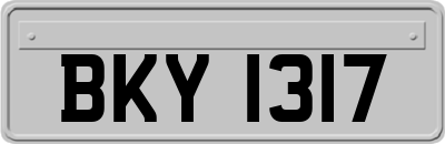 BKY1317