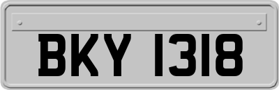 BKY1318