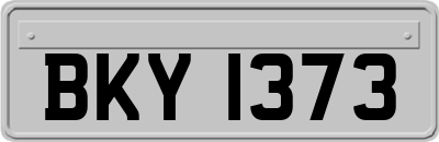 BKY1373