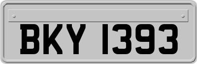BKY1393
