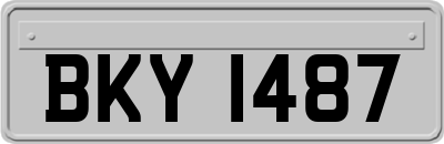 BKY1487