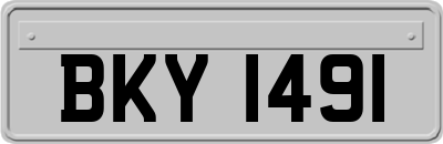 BKY1491