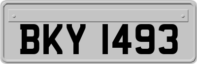 BKY1493