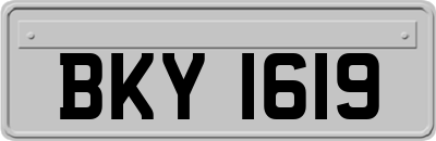 BKY1619