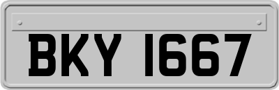 BKY1667