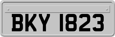 BKY1823