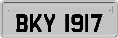 BKY1917