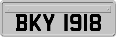 BKY1918