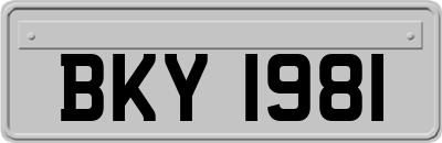 BKY1981