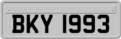 BKY1993