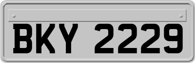 BKY2229