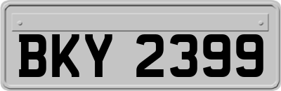 BKY2399