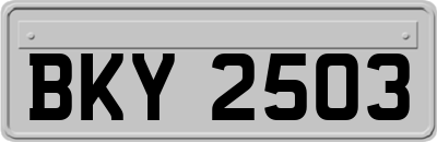 BKY2503