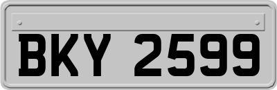 BKY2599