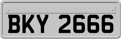 BKY2666