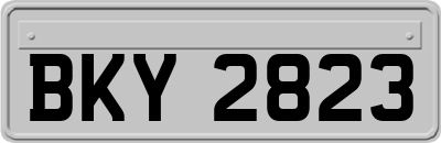 BKY2823