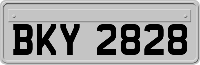 BKY2828