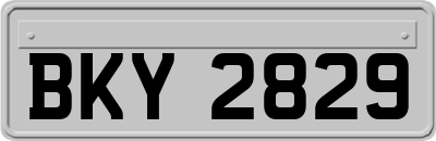 BKY2829