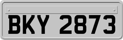 BKY2873