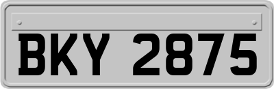 BKY2875