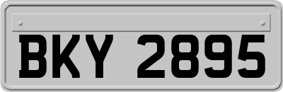 BKY2895