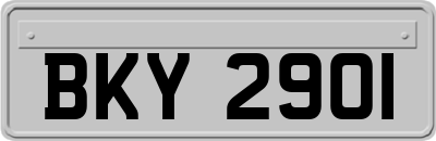 BKY2901