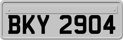 BKY2904