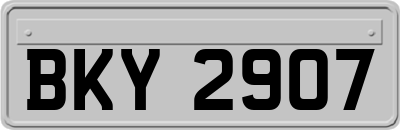 BKY2907