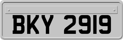 BKY2919