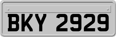 BKY2929