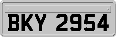 BKY2954