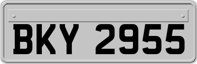 BKY2955