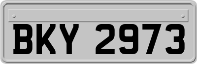 BKY2973