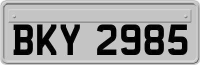 BKY2985