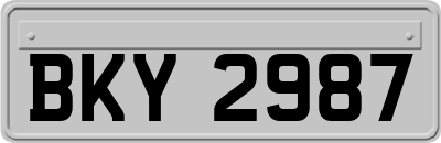 BKY2987