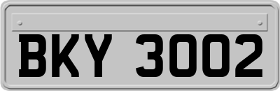 BKY3002