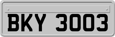 BKY3003