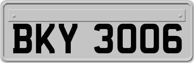BKY3006