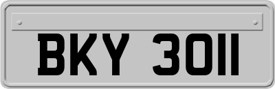 BKY3011