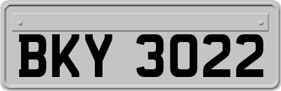 BKY3022