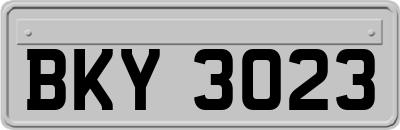 BKY3023