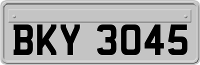 BKY3045