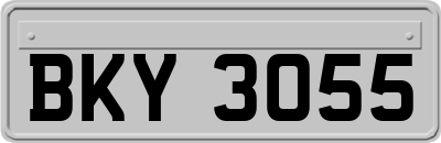 BKY3055