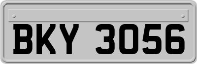BKY3056