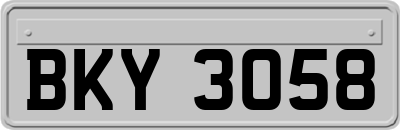 BKY3058