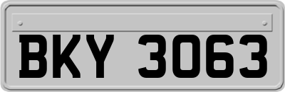 BKY3063