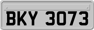 BKY3073